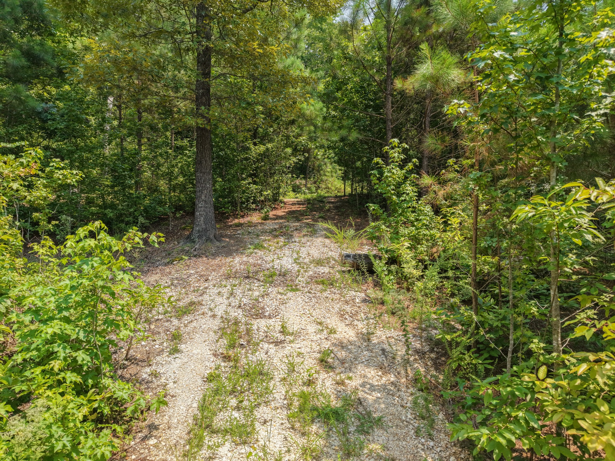 0 Birdsong Road Holladay, TN 38341 - Photo 5 of 17 Gallery Image 5