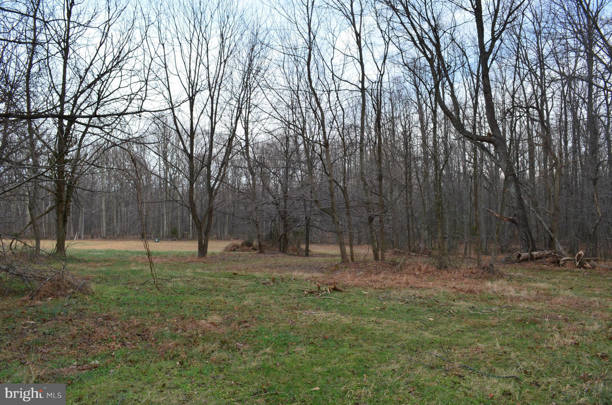 2095 Mountain Road Haymarket, VA 20169 - Photo 1 of 6 View