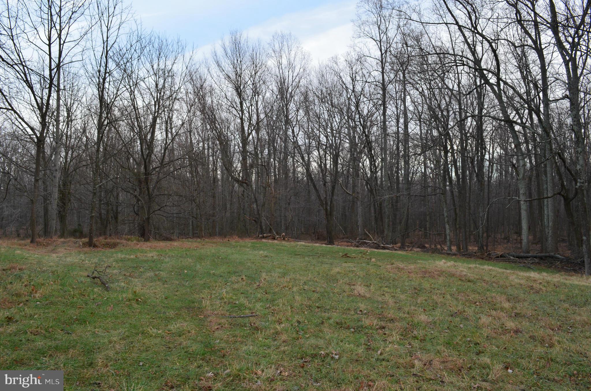 2095 Mountain Road Haymarket, VA 20169 - Photo 2 of 6 View