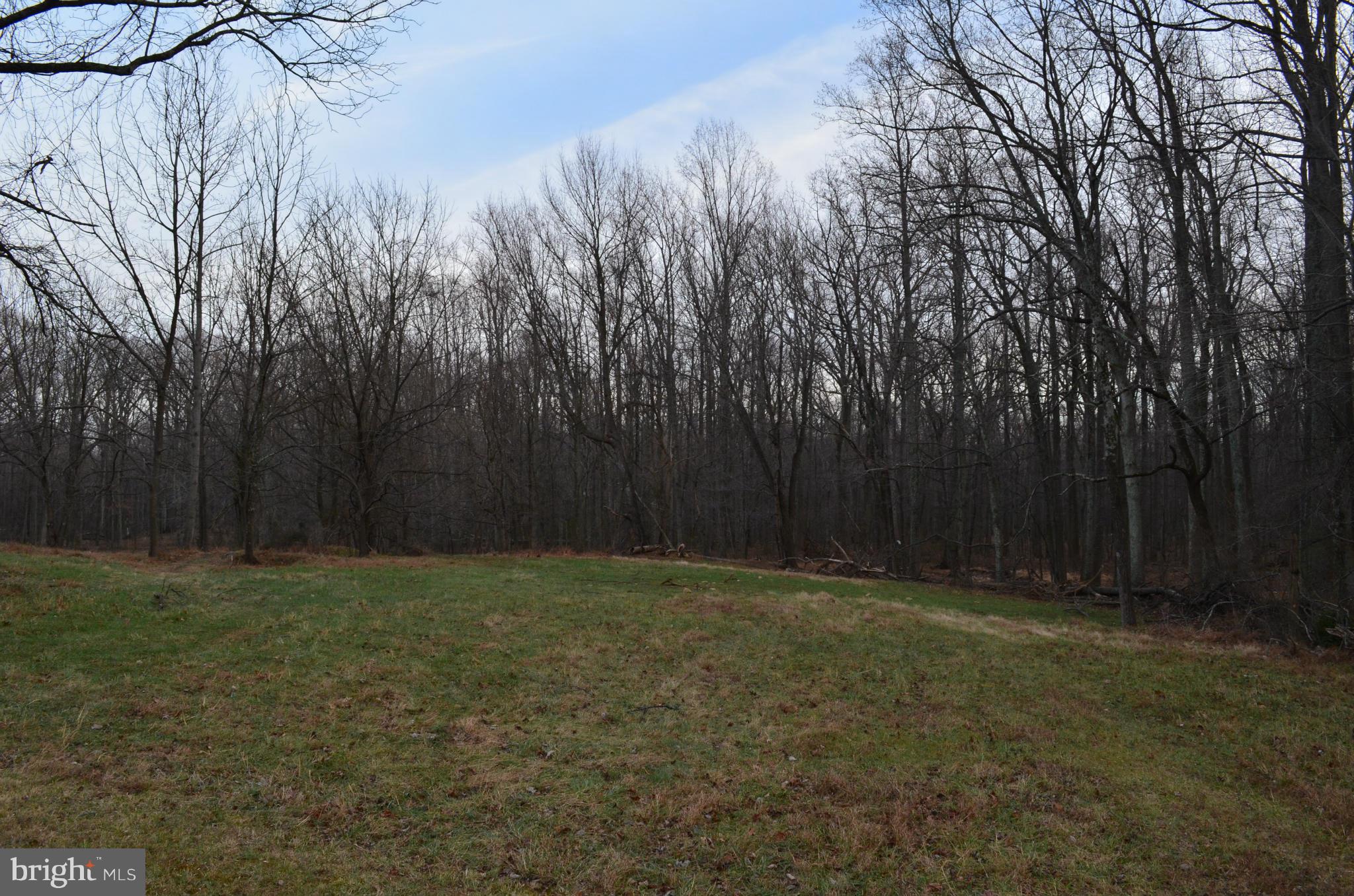 2095 Mountain Road Haymarket, VA 20169 - Photo 3 of 6 View