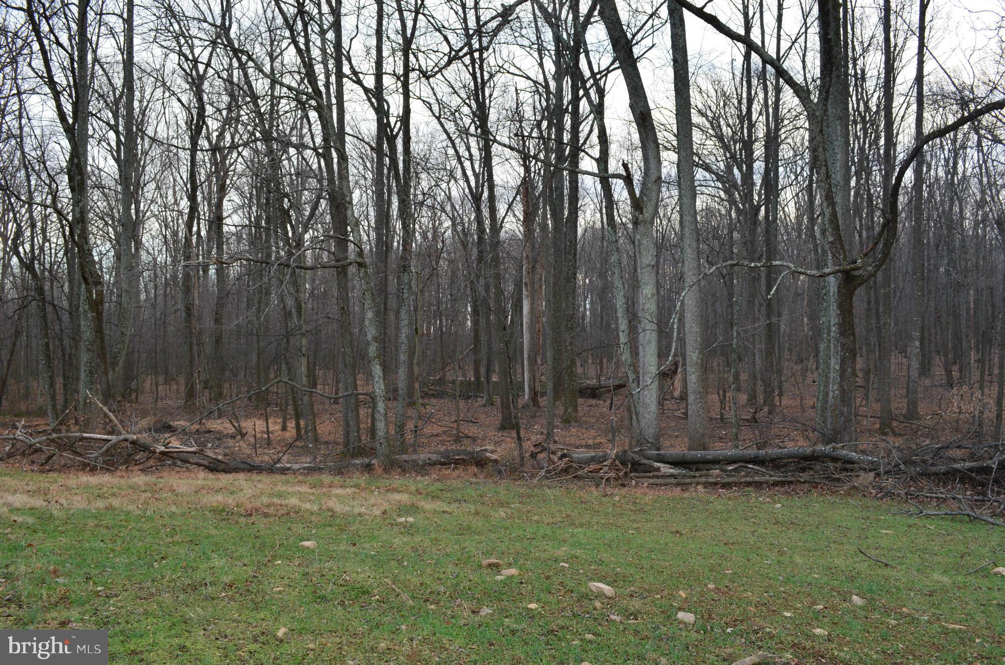 2095 Mountain Road Haymarket, VA 20169 - Photo 4 of 6 View