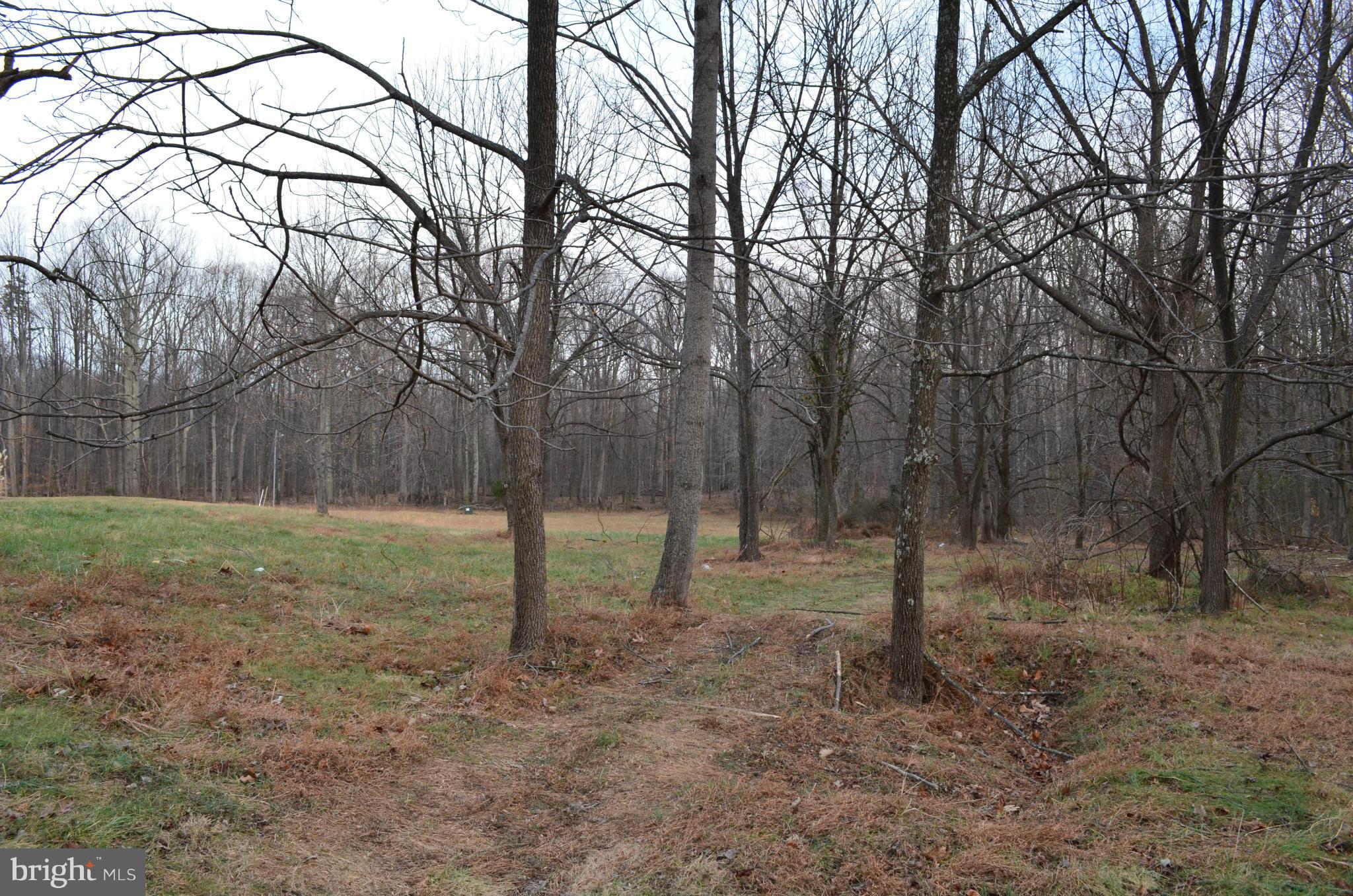 2095 Mountain Road Haymarket, VA 20169 - Photo 5 of 6 View