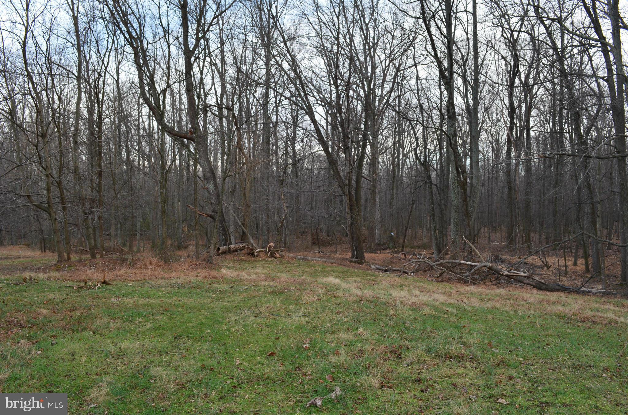 2095 Mountain Road Haymarket, VA 20169 - Photo 6 of 6 View