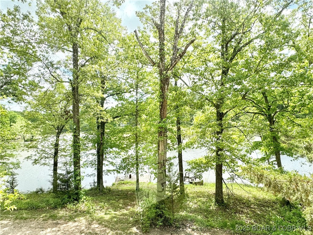 624 Lake Placid Road Stover, MO 65078 - Photo 32 of 48 Love it!