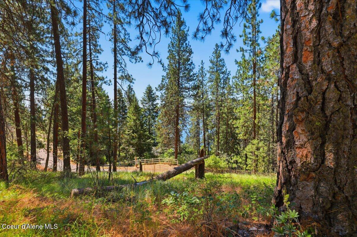 Nna South Prospect Avenue Harrison, ID 83833 - Photo 28 of 38 5+ Acres Views of Lake CDA Zoned R4