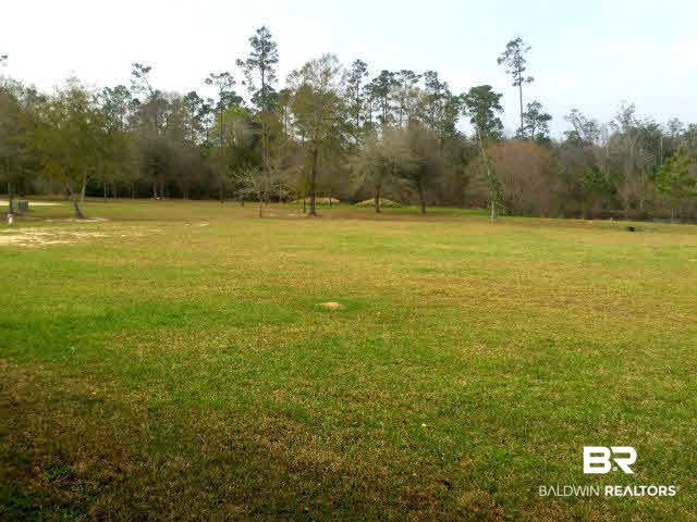 26079 Chatelaine Road Elberta, AL 36530 - Photo 35 of 38 Backyard