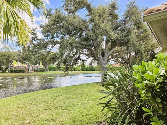 a view of yard with trees