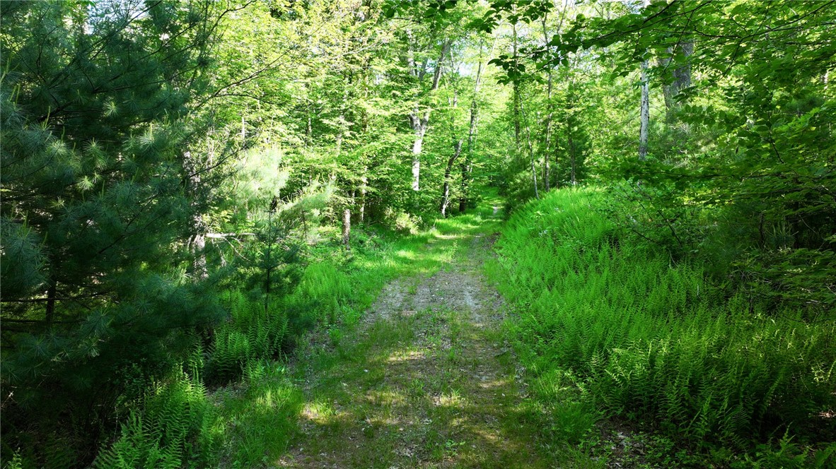 0 Barbs Hill Road Greene, RI 02827 - Photo 10 of 22 Gallery Image 10