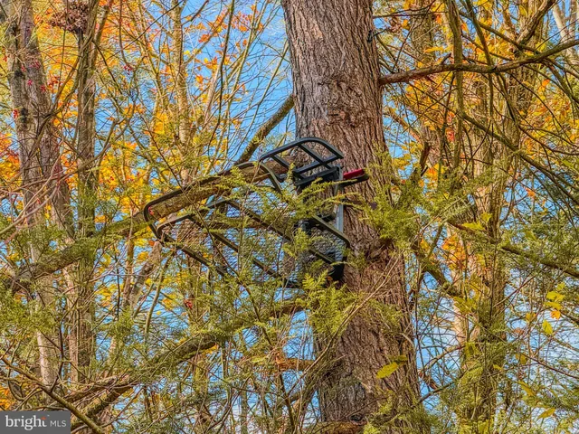 $139,900 | 371 Sleepy Hollow Road, Shermans Dale, PA 17090