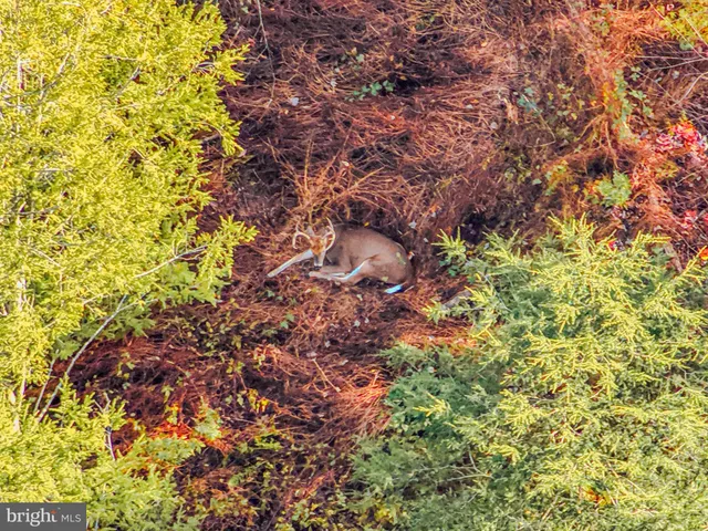 $139,900 | 371 Sleepy Hollow Road, Shermans Dale, PA 17090