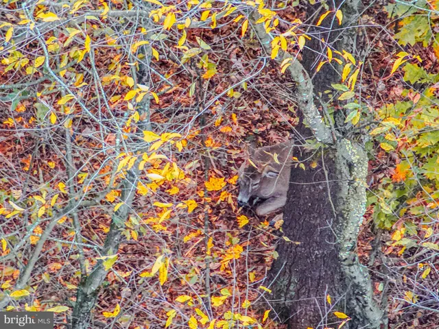 $139,900 | 371 Sleepy Hollow Road, Shermans Dale, PA 17090