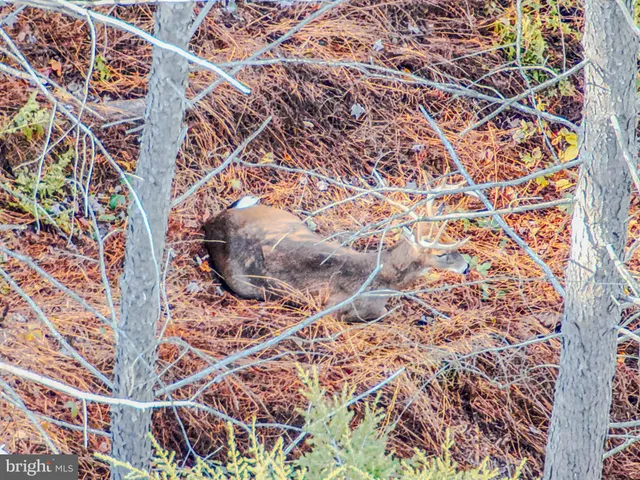 $139,900 | 371 Sleepy Hollow Road, Shermans Dale, PA 17090