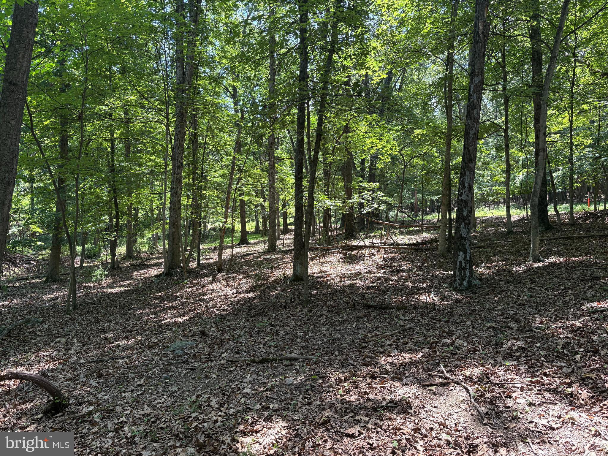 16 Rolling Acres Road Old Fields, WV 26845 - Photo 5 of 21