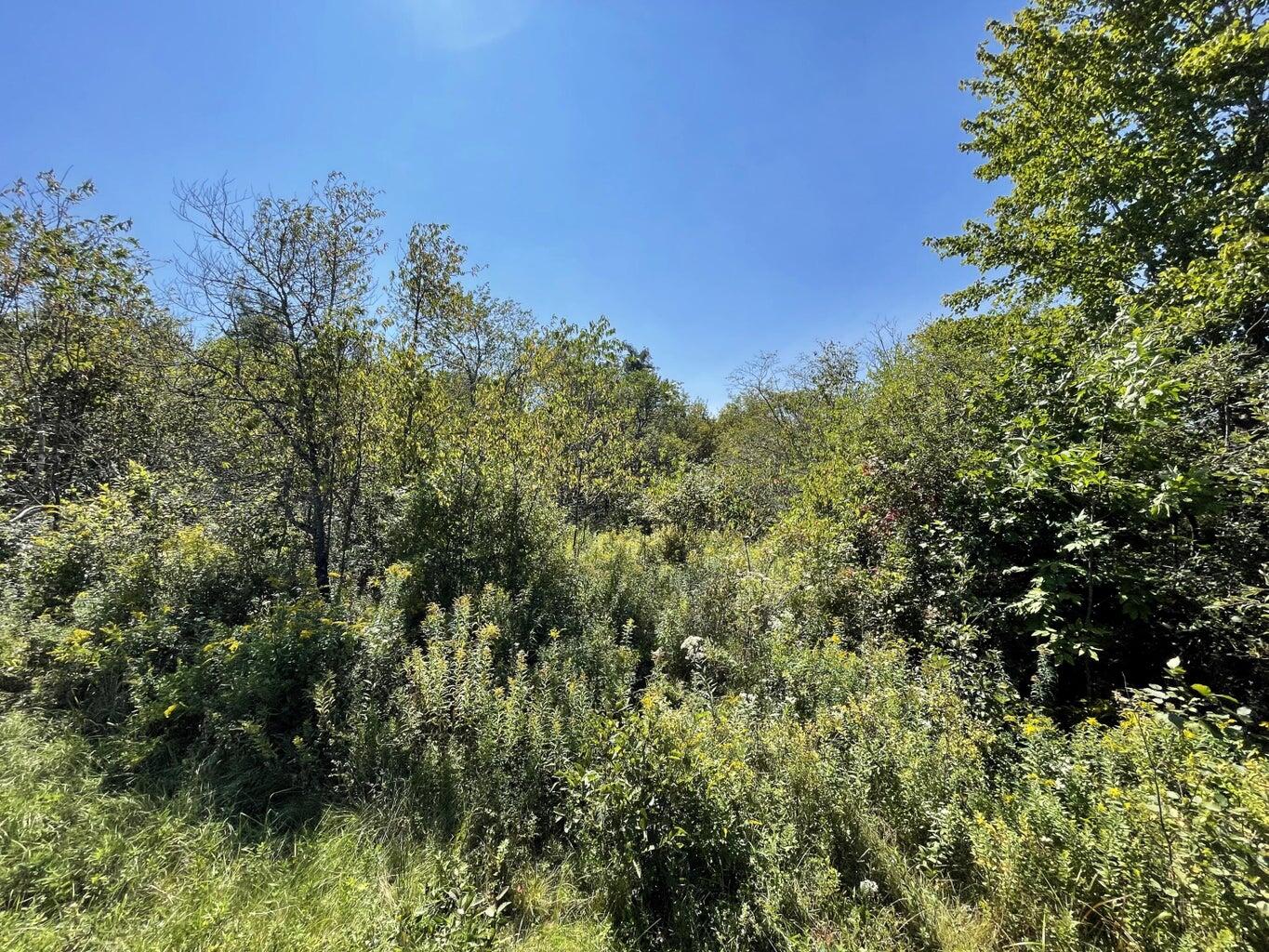 Hadley Lake Rd- lot off Map 15 Lot 6-1-