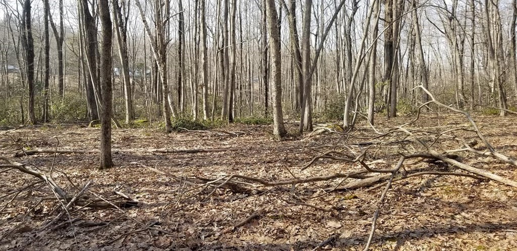 Xo Frontage Road Ashford, CT 06278 - Photo 12 of 19 Gallery Image 12