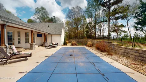 a view of a backyard with large trees and plants