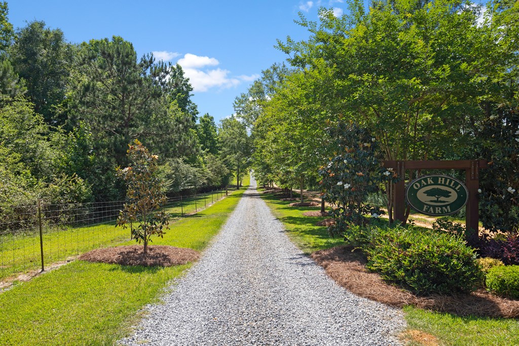 431 Johnny Murphy Road Dothan, AL 36301 - Photo 46 of 46