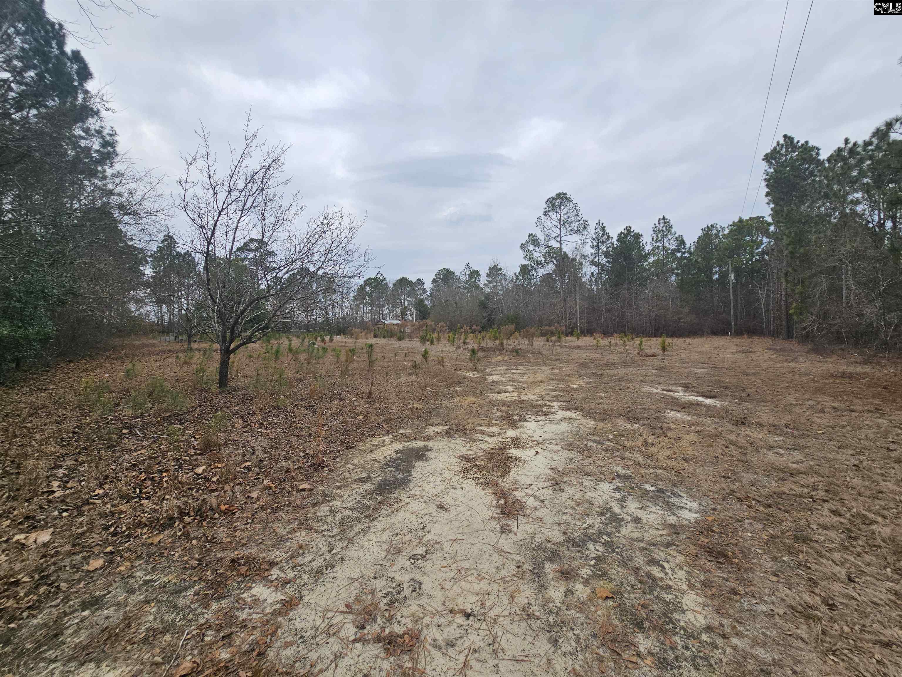 722 Jeff Sharpe Road Gaston, SC 29053 - Photo 5 of 18
