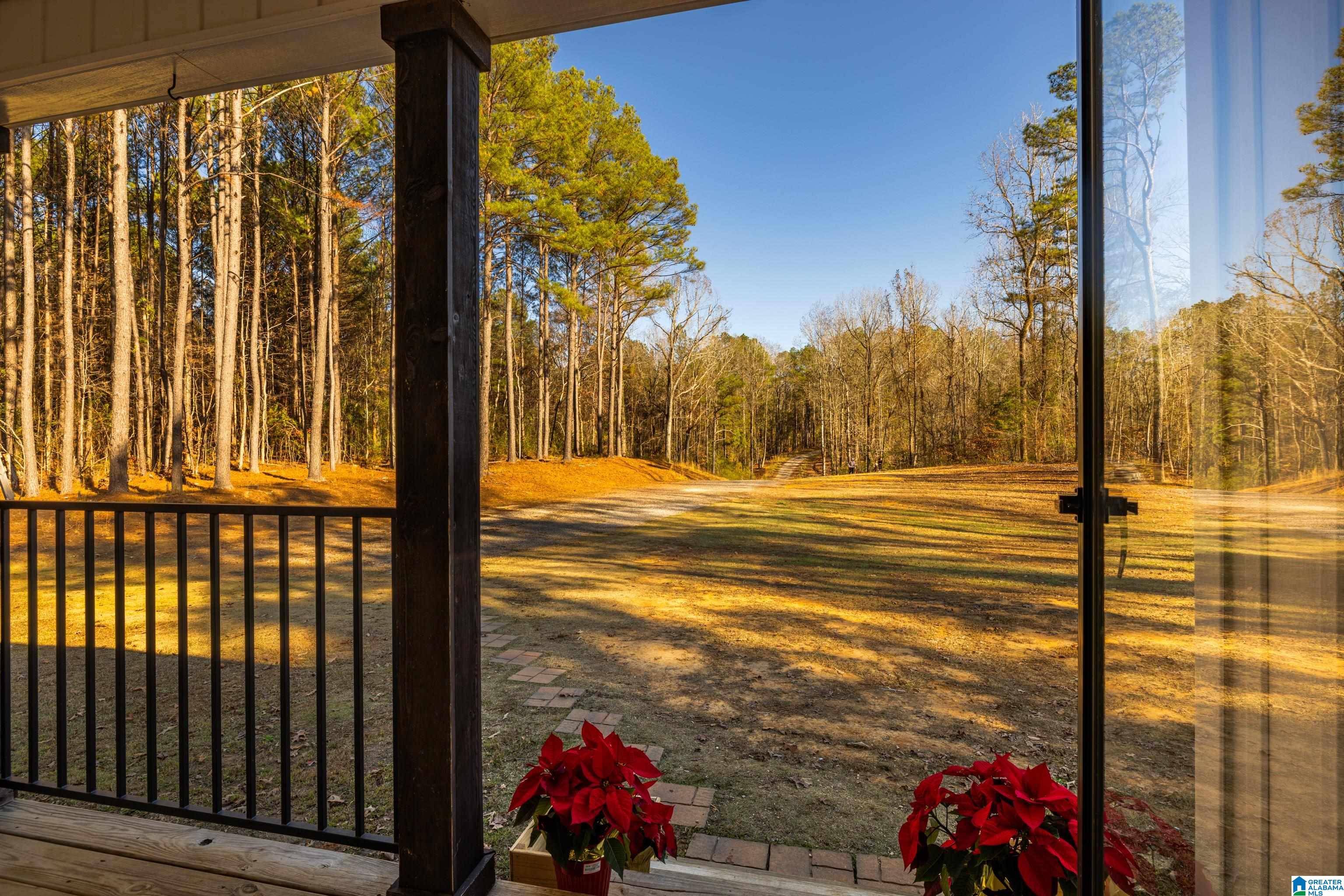 191 Warrior River Highlands Road Adger, AL 35006 - Photo 11 of 81