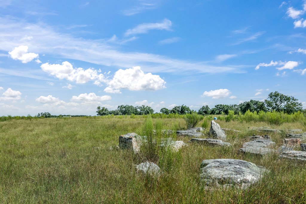 360 Inspiration Loop, Unit 75 Comfort, TX 78013 - Photo 2 of 24