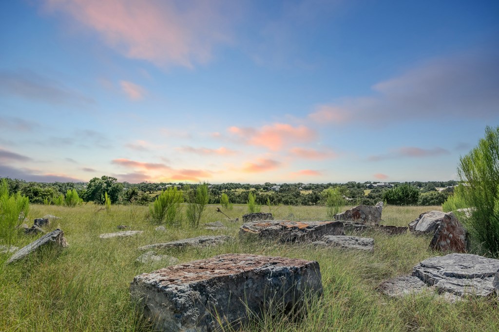 360 Inspiration Loop, Unit 75 Comfort, TX 78013 - Photo 3 of 24