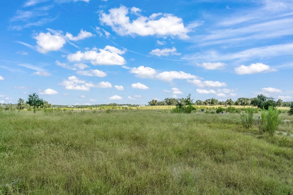 360 Inspiration Loop, Unit 75 Comfort, TX 78013 - Photo 4 of 24