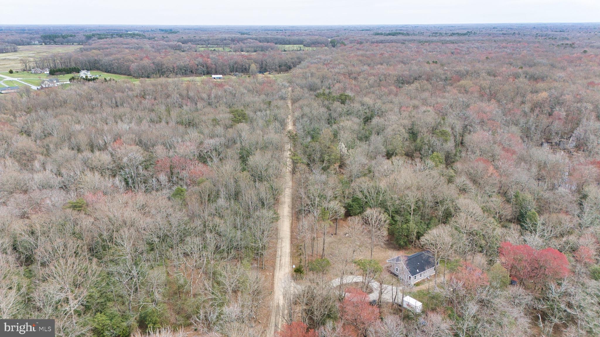 25095 Trunk Line Road Henderson, MD 21640 - Photo 22 of 39 Serene woodland retreat awaits you.