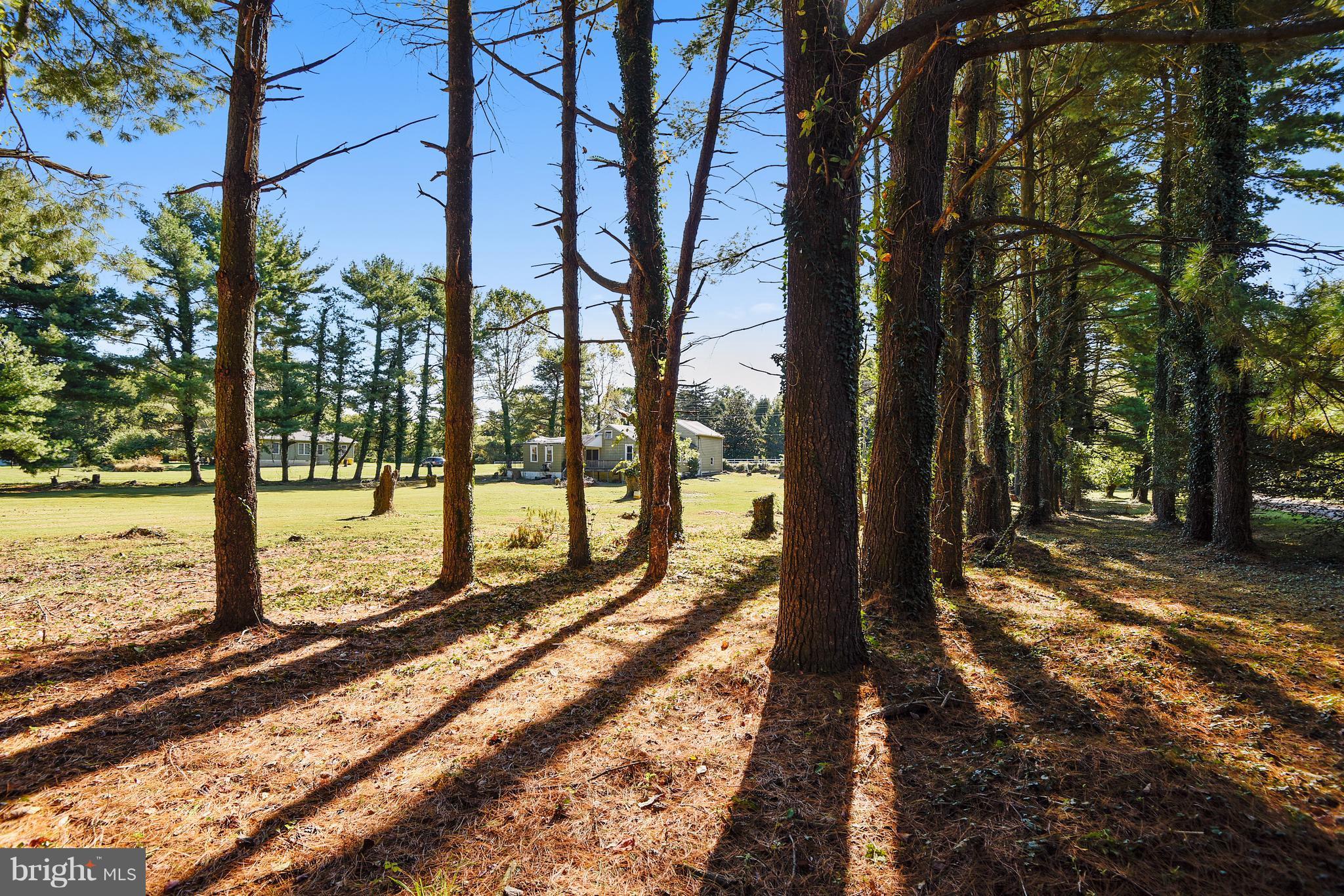 1580 St Margarets Road Annapolis, MD 21409 - Photo 9 of 16 Peaceful, Pastural Land....NO HOA!