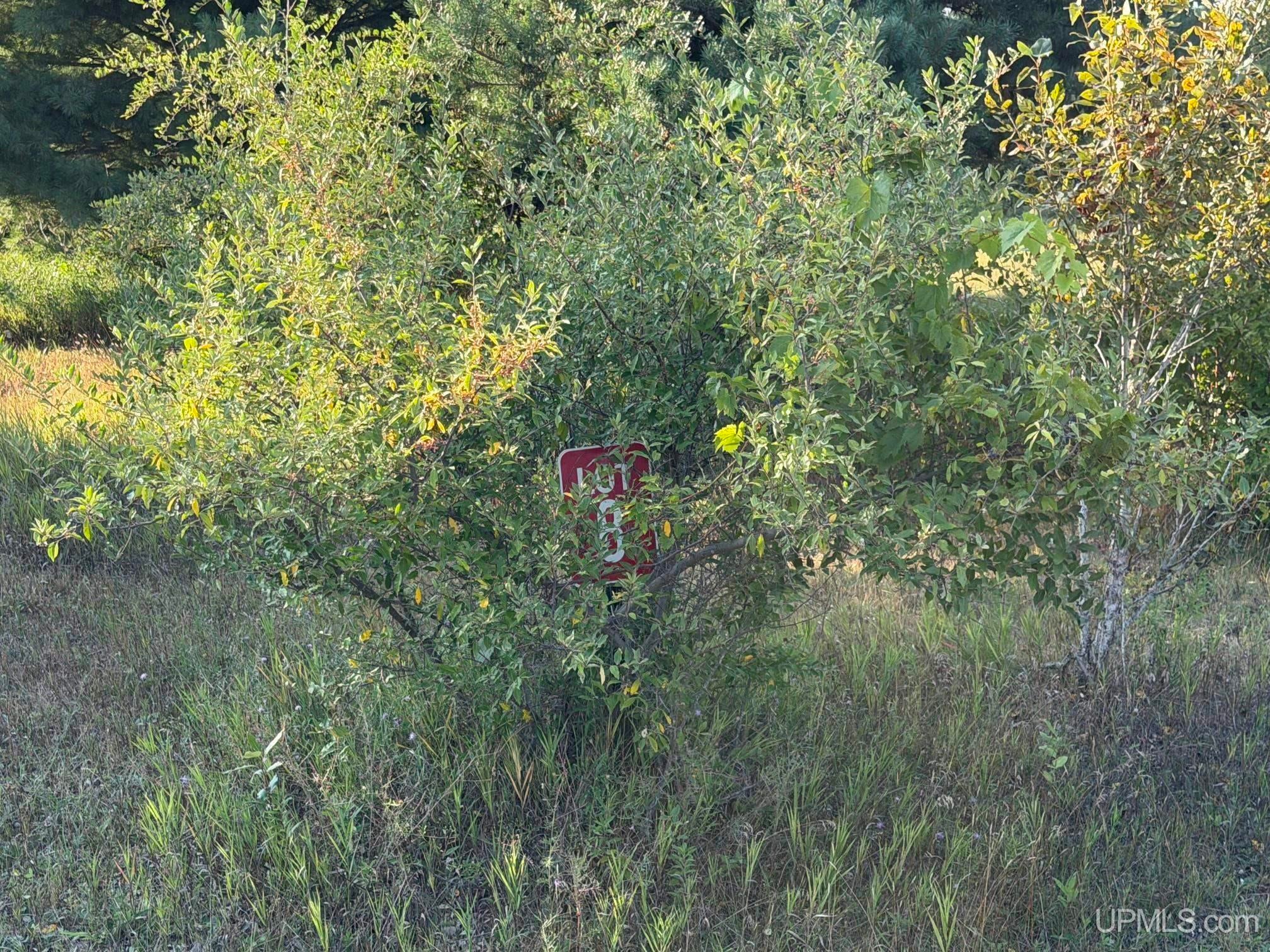 Lot 8 Ski View Road Vulcan, MI 49892 - Photo 3 of 8 Gallery Image 3