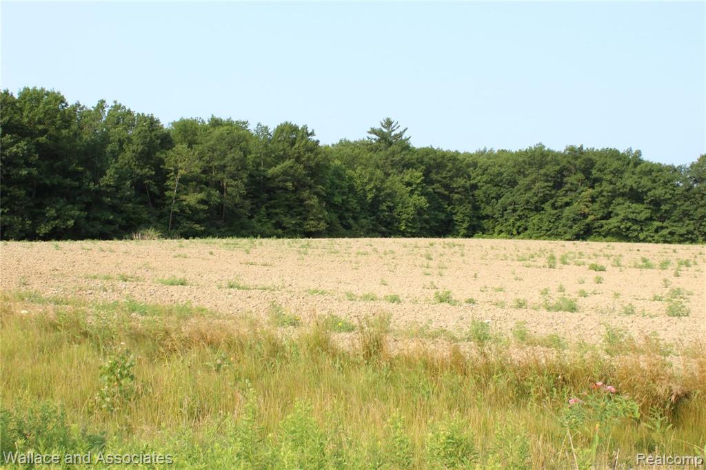 Lot 4 McIntyre Road North Street, MI 48049 - Photo 9 of 14
