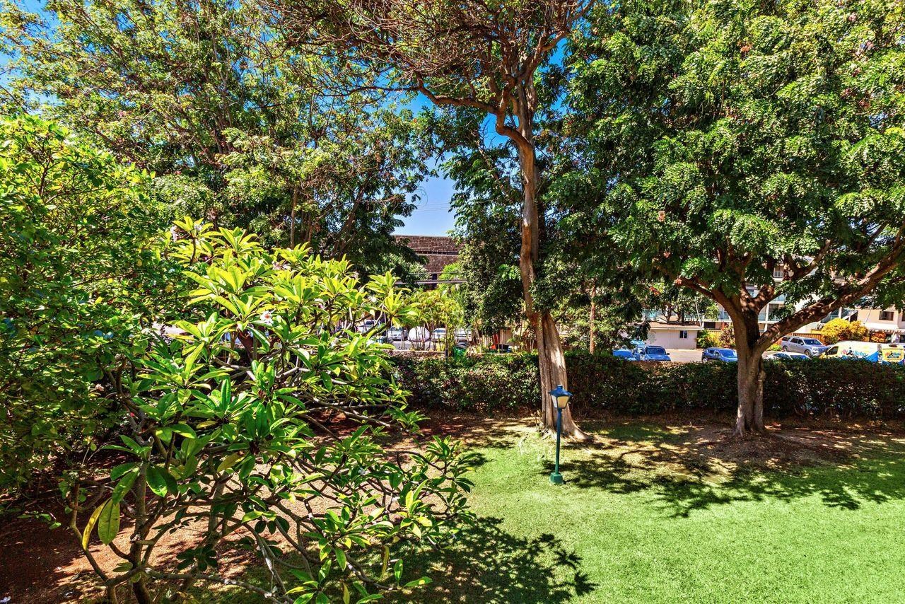 3750 Lower Honoapiilani Road, Unit 202 Lahaina, HI 96761 - Photo 16 of 22 a view of a tree with a tree