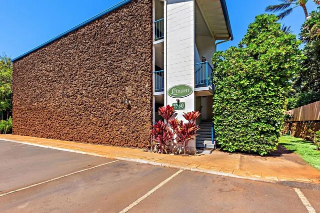 a view of a brick wall with potted plants