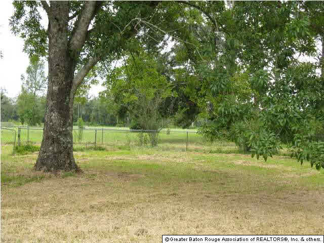 10537 Springfield Road Denham Springs, LA 70706 - Photo 7 of 7