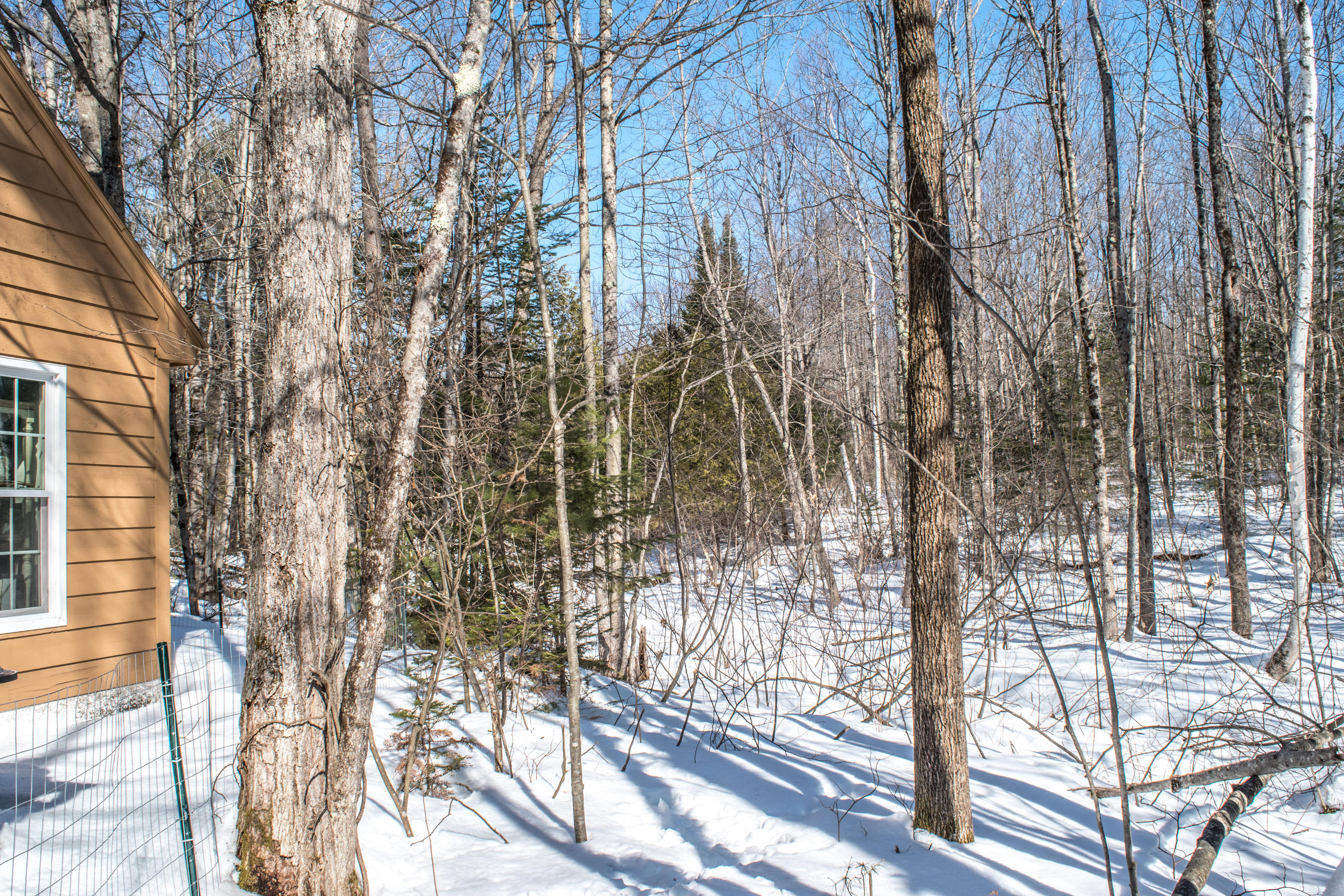 97 Innes Ridge Road Wayne, ME 04284 - Photo 28 of 32 DSC_0151