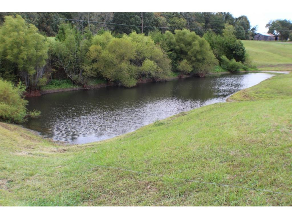 350 Black Road Greeneville, TN 37743 - Photo 36 of 36 Stocked Pond