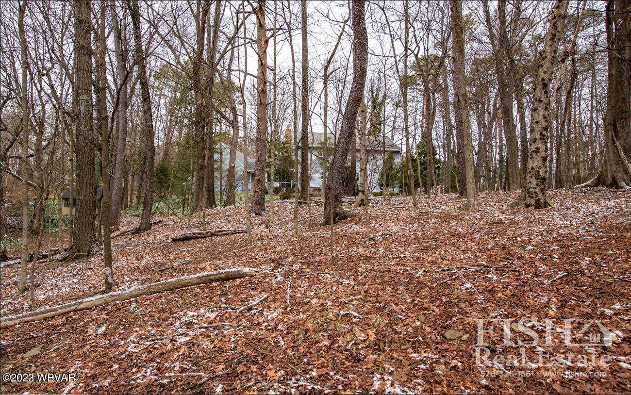 250 Greenock Road Williamsport, PA 17701 - Photo 7 of 26 Gallery Image 7