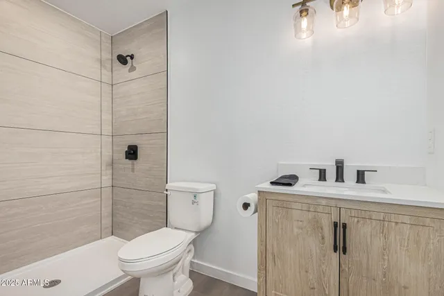 a bathroom with a toilet sink vanity and shower
