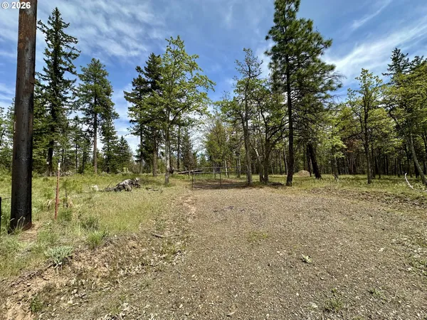 a view of outdoor space with trees
