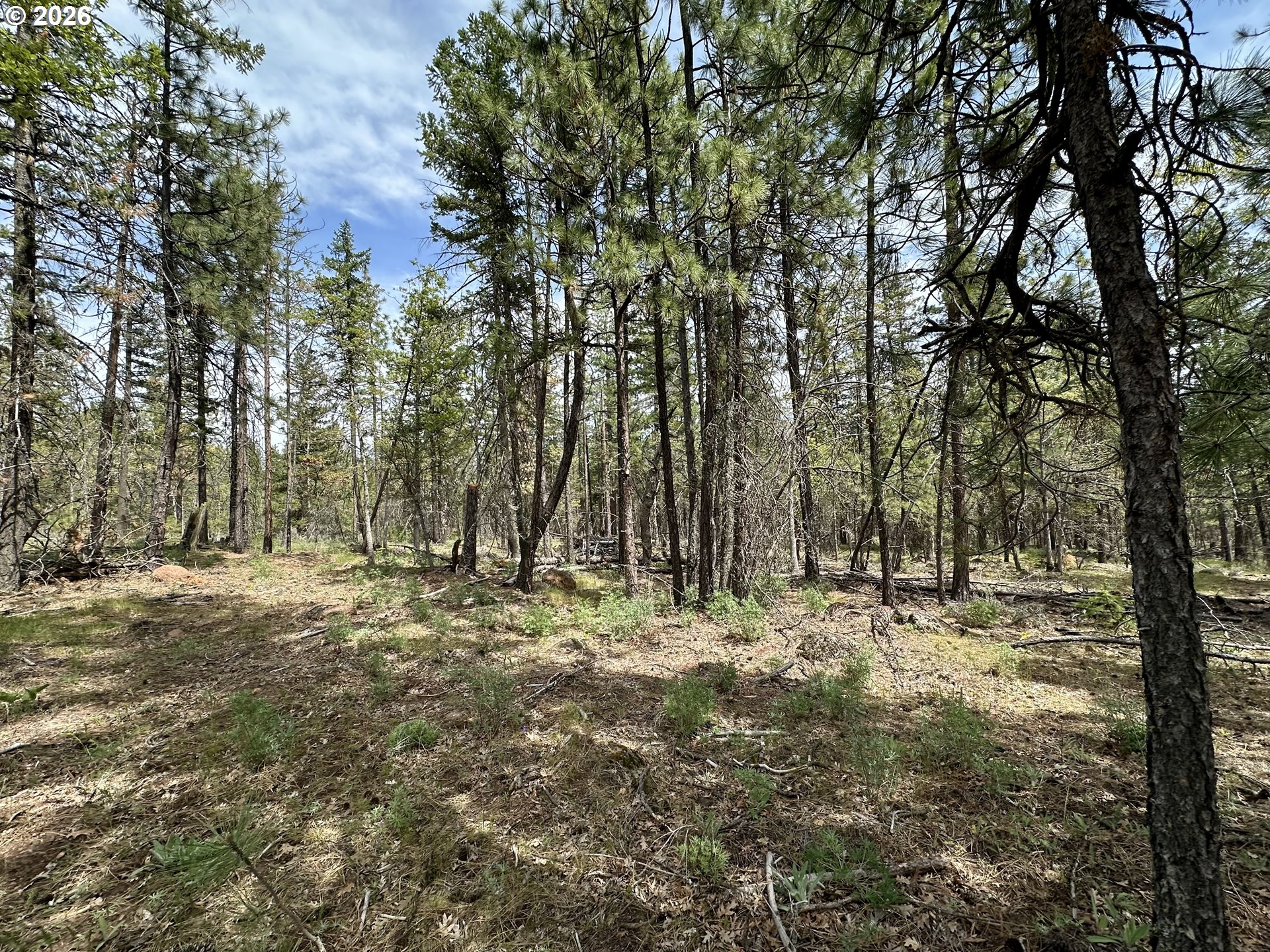 Pipeline Road Goldendale, WA 98620 - Photo 12 of 31