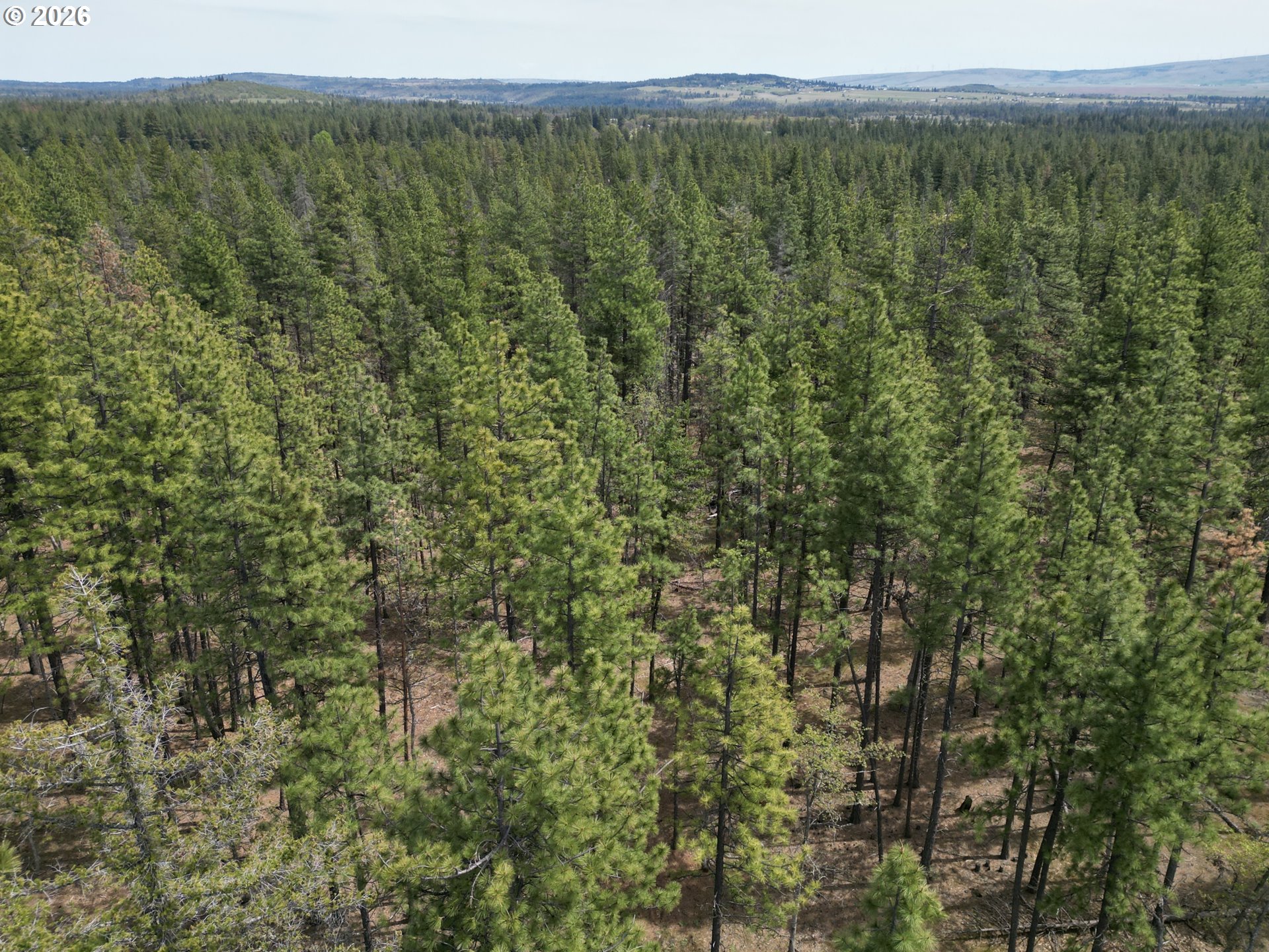 Pipeline Road Goldendale, WA 98620 - Photo 24 of 31