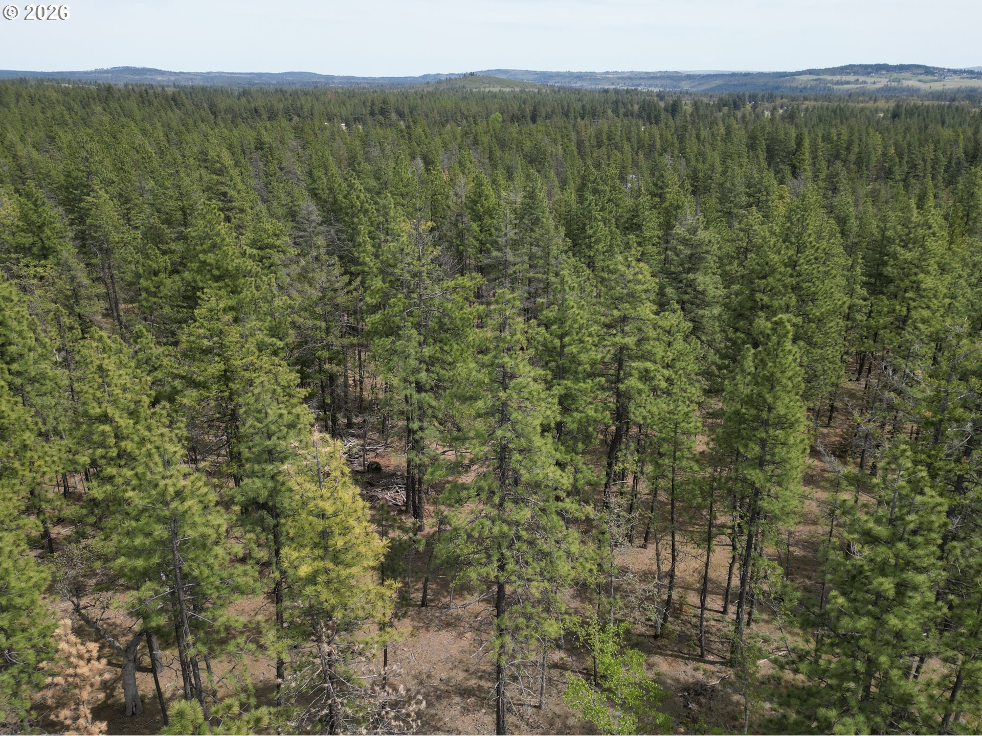Pipeline Road Goldendale, WA 98620 - Photo 26 of 31