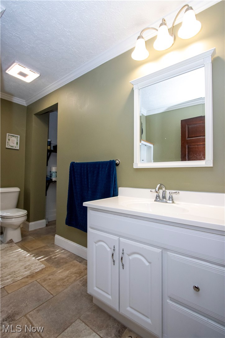 53 Grant Street Rittman, OH 44270 - Photo 30 of 34 Full bath featuring ornamental molding, vanity, a textured ceiling, and stone tile floors