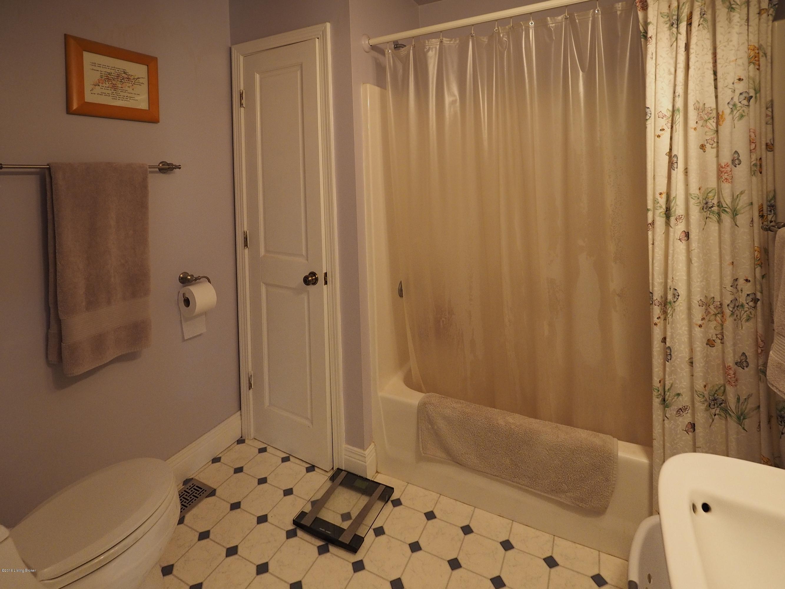 764 Drake Ridge Road Bloomfield, KY 40008 - Photo 9 of 26 Master bath