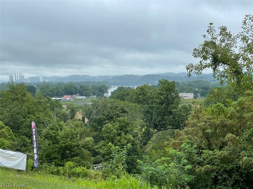 3209 Carpenter Run Road Waverly, WV 26184 - Photo 29 of 29 Ohio River Views