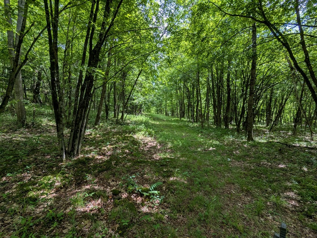 122 Raven Hill Road Roulette, PA 16746 - Photo 68 of 84 Gallery Image 68