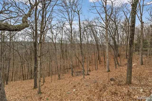 $775,000 | 1304 Kiefer Bluffs Drive, Ballwin, MO 63021