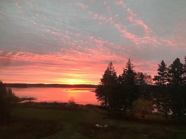 332 Cape Split Road Addison, ME 04606 - Photo 82 of 86 IMG_1082