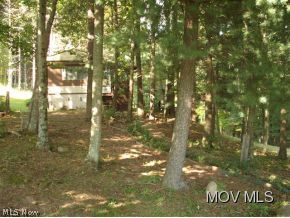 3729 Auburn Road Pullman, WV 26421 - Photo 14 of 18 NESTLED IN THE PINES