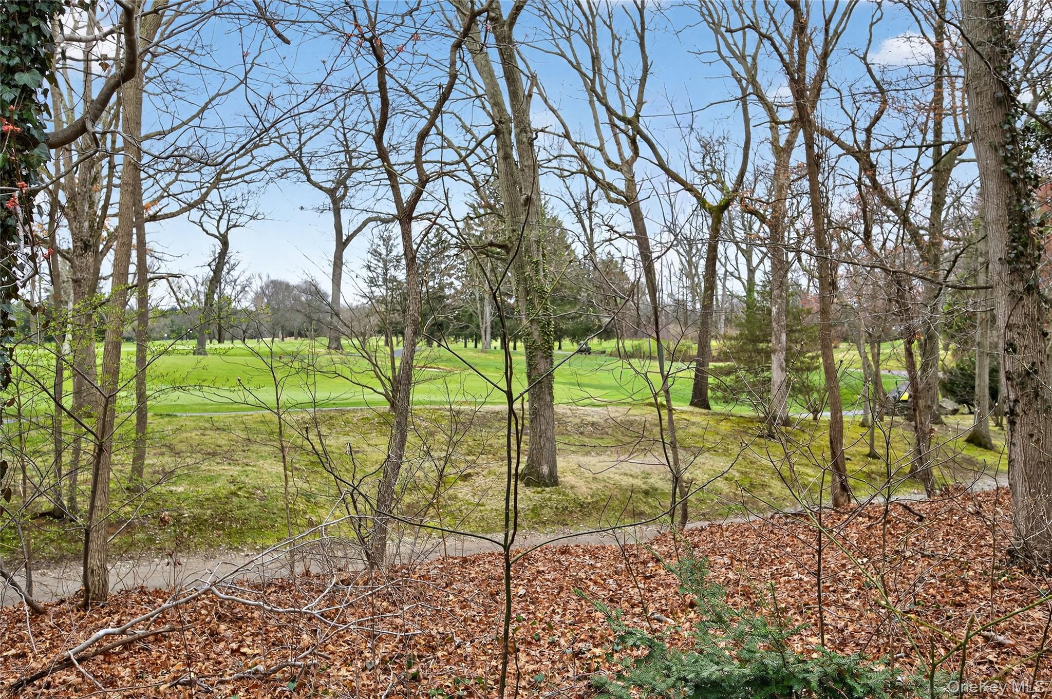 43 Highwood Road East Norwich, NY 11732 - Photo 27 of 32 a view of a garden with a tree