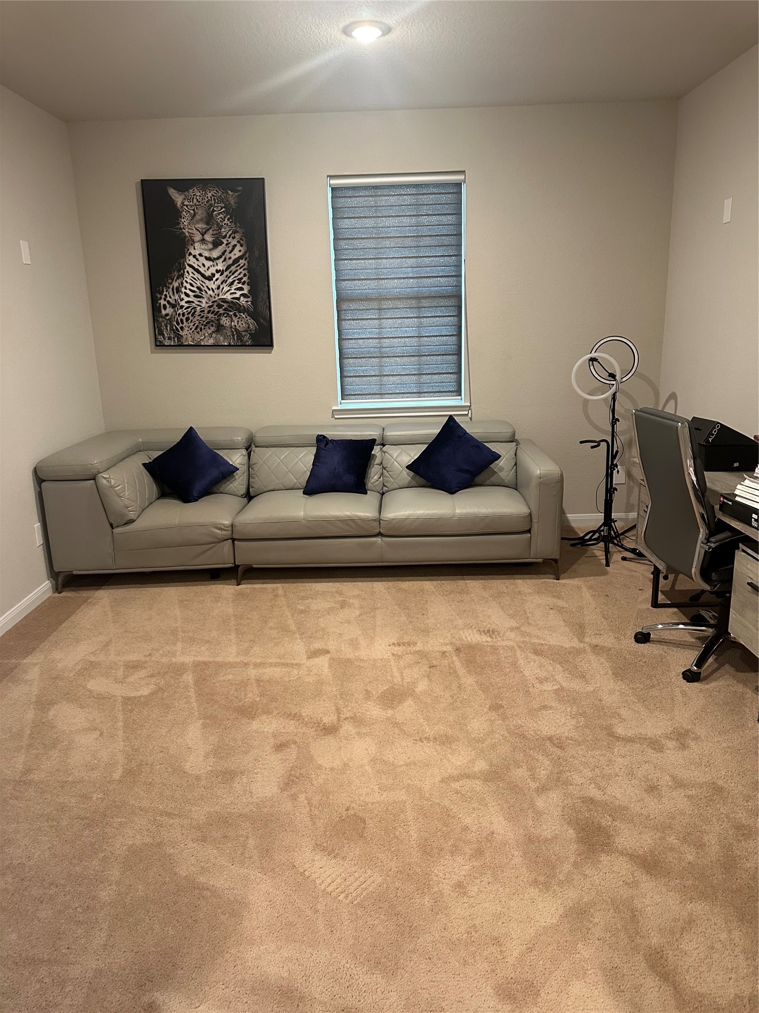 1617 Darwin Cedar Drive Rosharon, TX 77583 - Photo 41 of 50